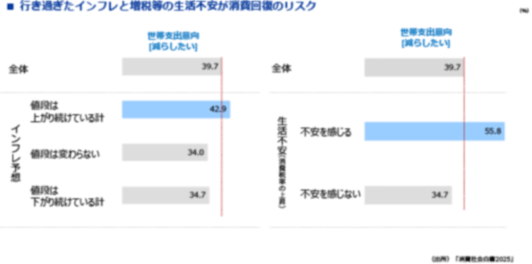 図表15　今後の消費回復のリスク